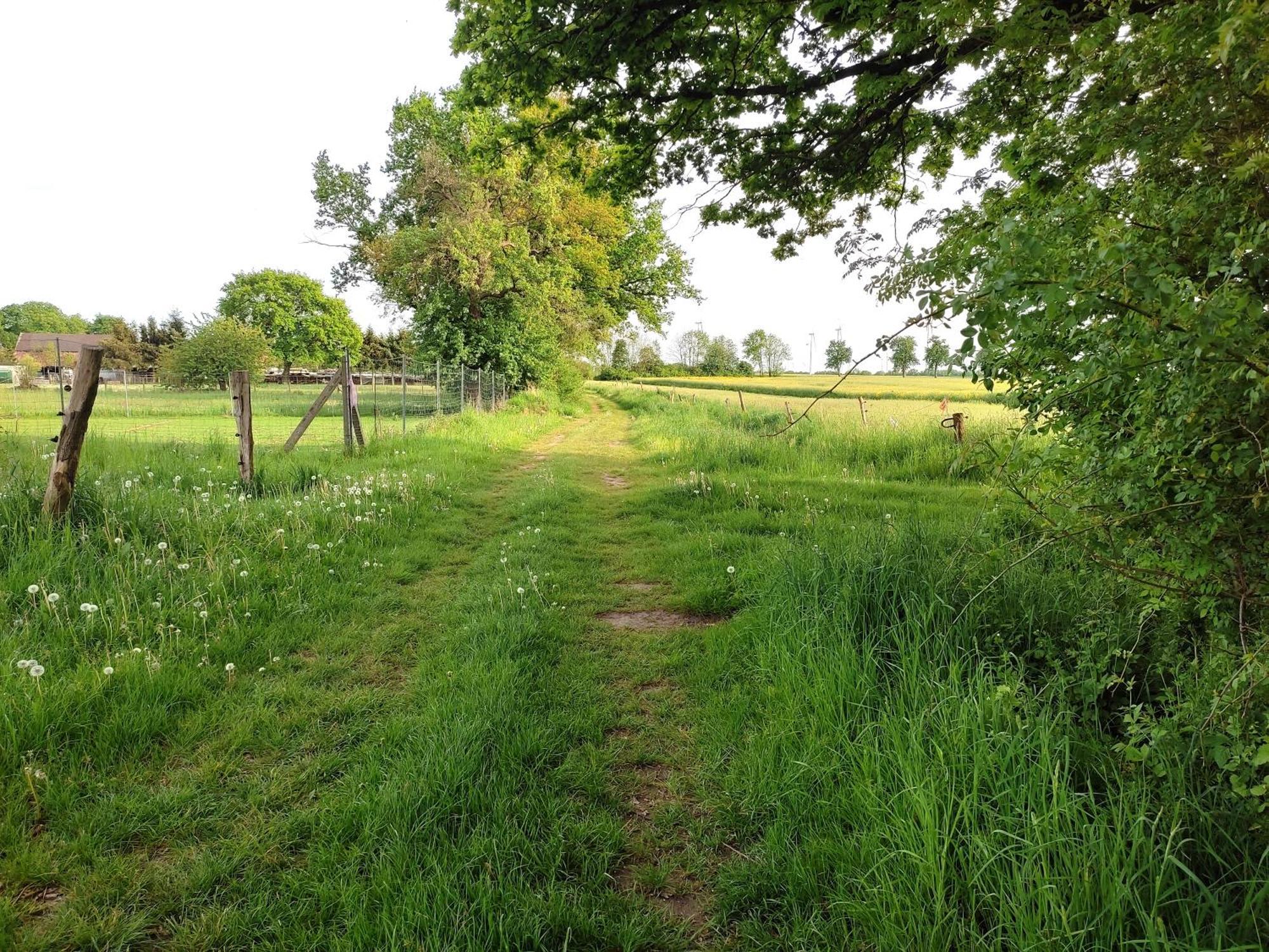 Steffenshagen * Pritzwalk